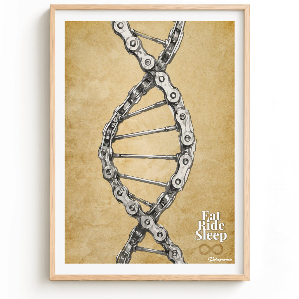 DNA