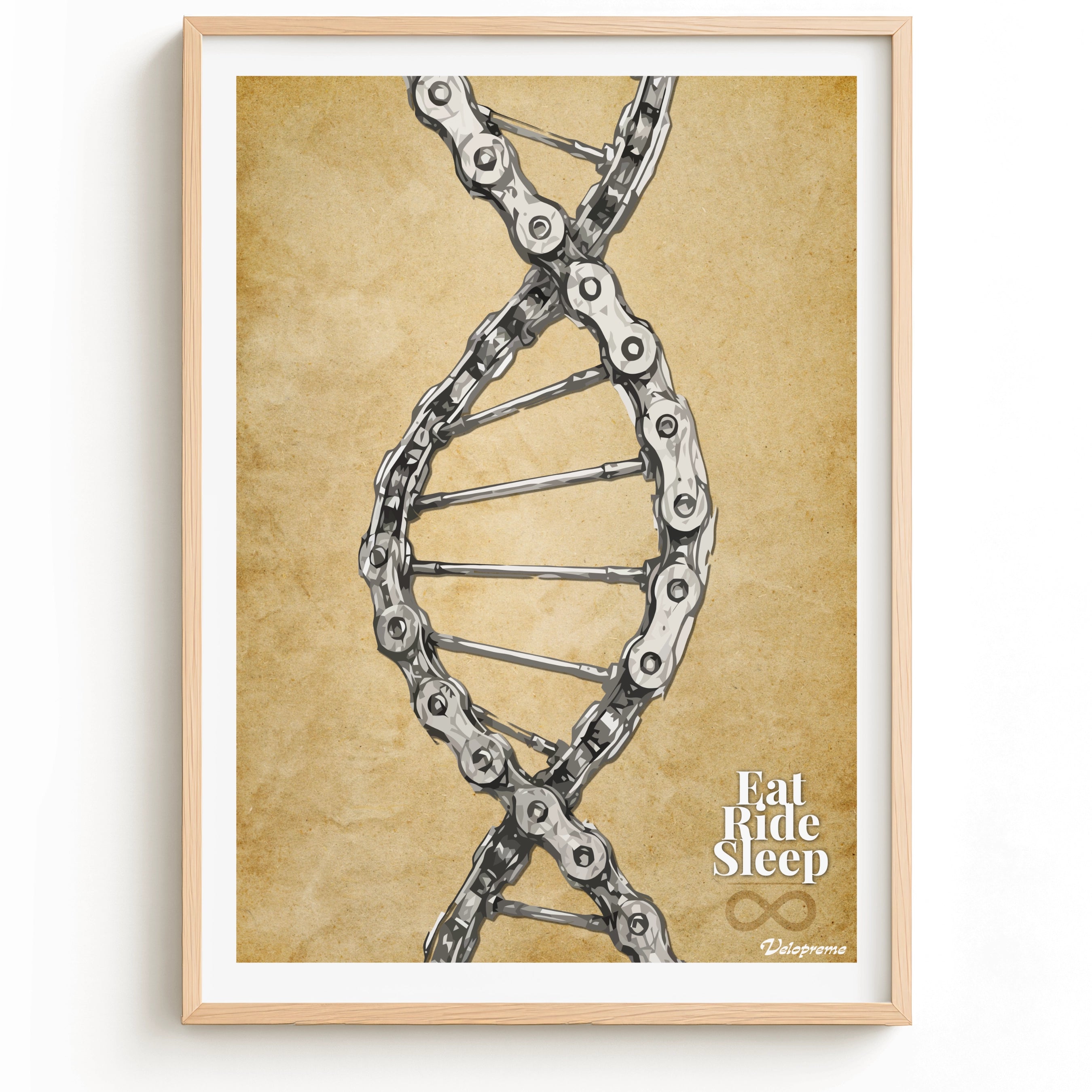 DNA